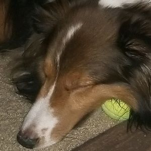 Meet your Posher, Allison